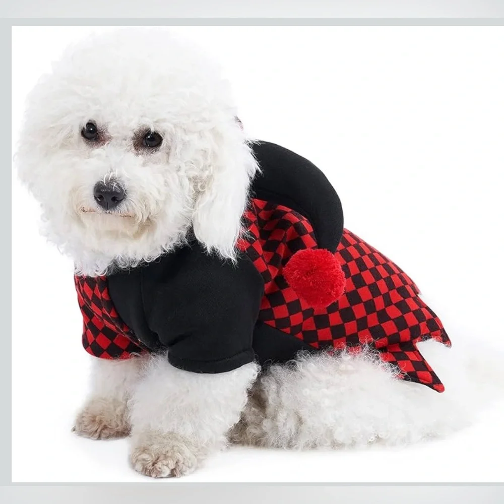 Red and Black Jester Dog Costume